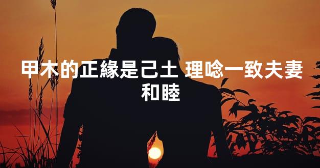 甲木的正緣是己土 理唸一致夫妻和睦